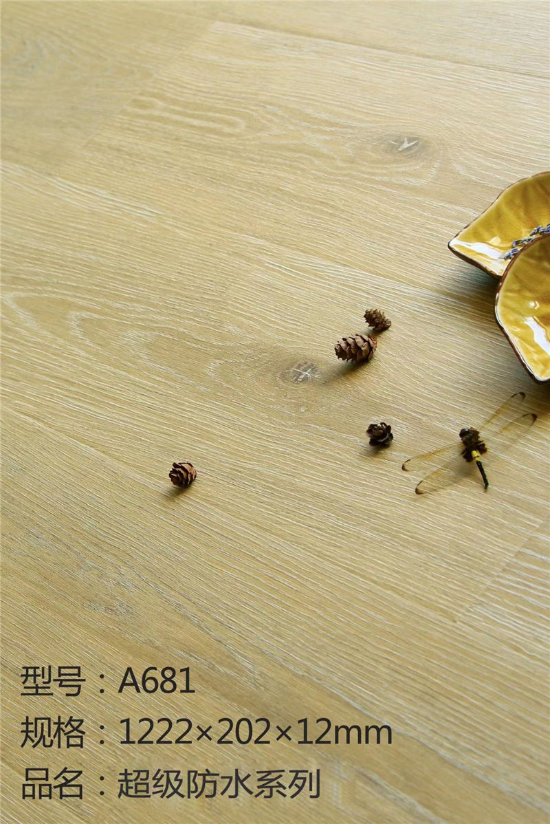 A681.jpg